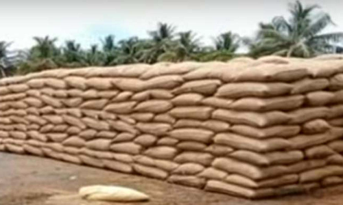 நேரடி கொள்முதல் நிலையத்தில் 8 ஆயிரம் நெல்மூட்டைகள் மழையில் நனைந்து வீணானது- விவசாயிகள் வேதனை