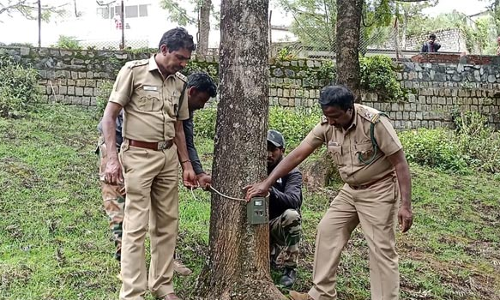 ஊட்டி மார்லி மந்து அணை  பகுதியில் புலியின் நடமாட்டத்தை கண்காணிக்க கண்காணிப்பு காமிராக்கள்
