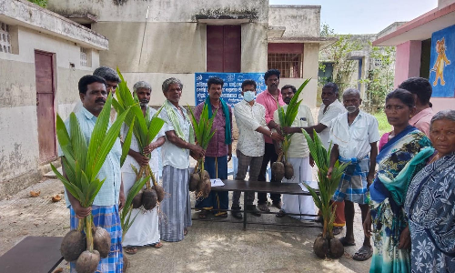 ஊத்தங்கரை அருகே   தென்னங்கன்று வழங்கும் நிகழ்ச்சி
