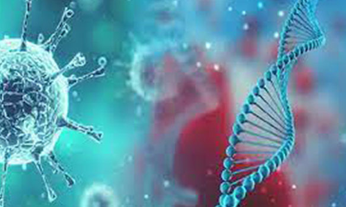 மீண்டும் வேகமாக பரவும் கொரோனா