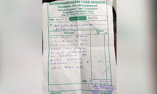 25 கி.மீ. தூரத்தை 1½ மணி நேரத்தில் கடக்காத லாரி டிரைவருக்கு ரூ.500 அபராதம்- வனத்துறையினர் நடவடிக்கை
