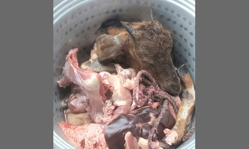 ஆட்டை வெட்டி கூறு போட்டதாக இறைச்சியுடன் புகார்