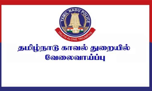 சப்-இன்ஸ்பெக்டர் பணிக்கு 10 ஆயிரத்து 699 பேர் தேர்வு எழுதுகிறார்கள்