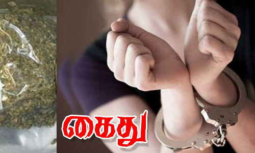 அரக்கோணம் அருகே ரெயிலில் கஞ்சா கடத்திய 2 பெண்கள்
