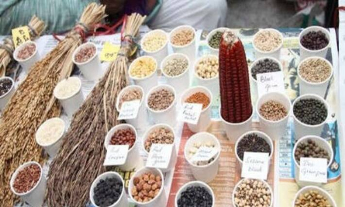 ஆற்காட்டில் பாரம்பரிய அரிசி, விதை திருவிழா