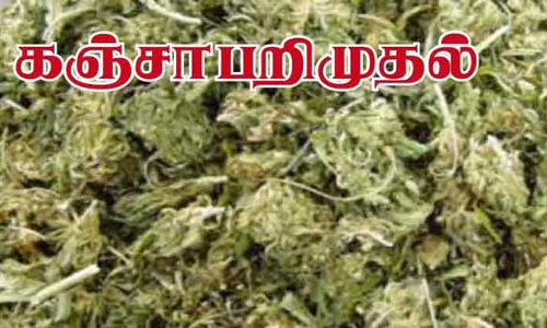 டவுனில் வீட்டில் பதுக்கிய 1 கிலோ கஞ்சா பறிமுதல்- 2 பேர் கைது