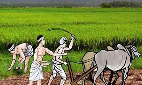 கோவையில் கலைஞரின் அனைத்து கிராம ஒருங்கிணைந்த வேளாண் திட்டத்தில் 56 கிராமங்கள் தோ்வு