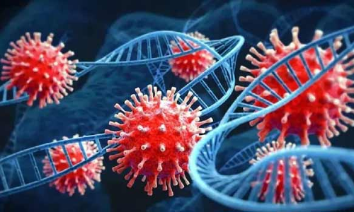 ஒரே நாளில் மேலும் 11 பேருக்கு கொரோனா