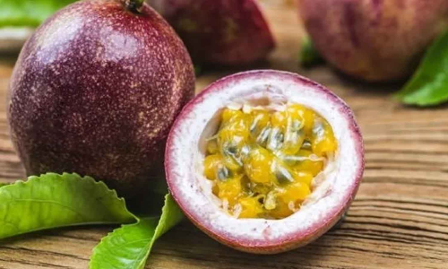 உடுமலை பகுதியில் தாட்பூட் பழங்கள் சாகுபடி