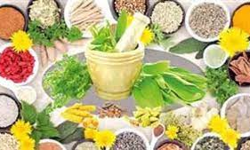 இலவச சித்த மருத்துவ முகாம்