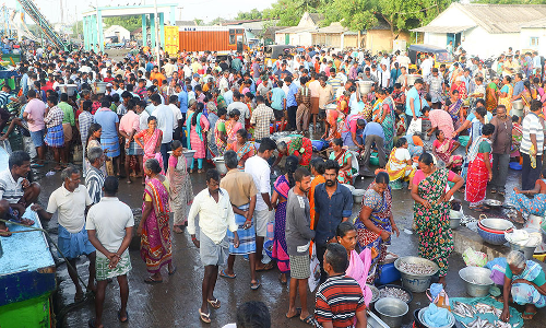 கடலூர் துறைமுகத்தில் மீன்கள் விலை வீழ்ச்சி