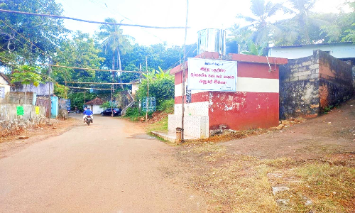 திருவட்டாரில் தற்காலிக கடைகளுக்கு அனுமதி இல்லை