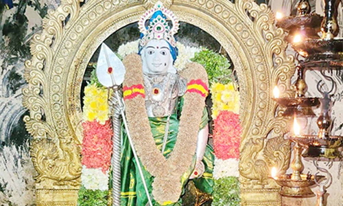 தண்டாயுதபாணி கோவிலில் ஆனி கார்த்திகை வழிபாடு