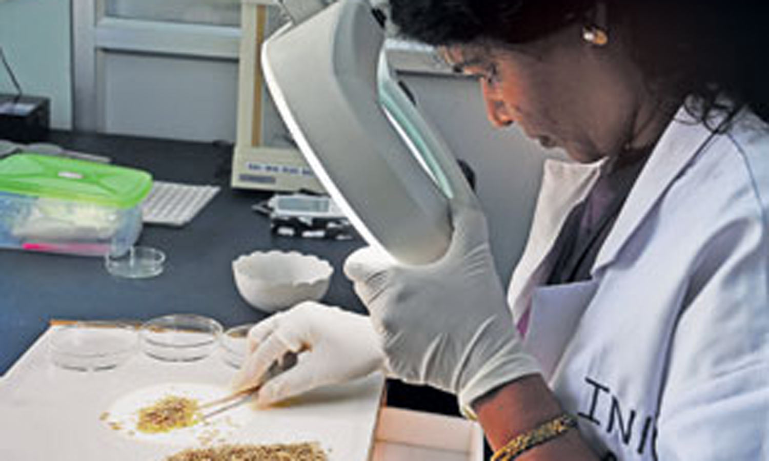 பரிசோதனை செய்த விதைப்பு செய்தால் கூடுதல் மகசூலும், தரமான விதையும் பெறலாம்