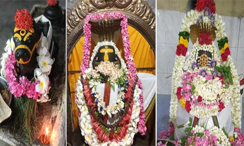 சிவன் கோவில்களில் பிரதோஷ வழிபாடு திரளான பக்தர்கள் சாமி தரிசனம்