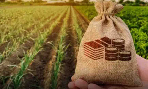 வேளாண் உற்பத்தி பொருட்கள் விற்பனை வளாகம் : பொதுமக்கள் - வியாபாரிகள் பயன்படுத்தி கொள்ள அழைப்பு