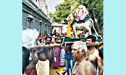 பிரதோஷ பூஜை விழா