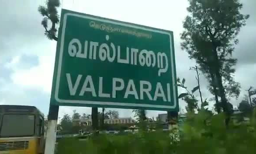 வால்பாறையில் இரவில் வனவிலங்குகளை பார்க்க சென்ற சுற்றுலாபயணிகள்