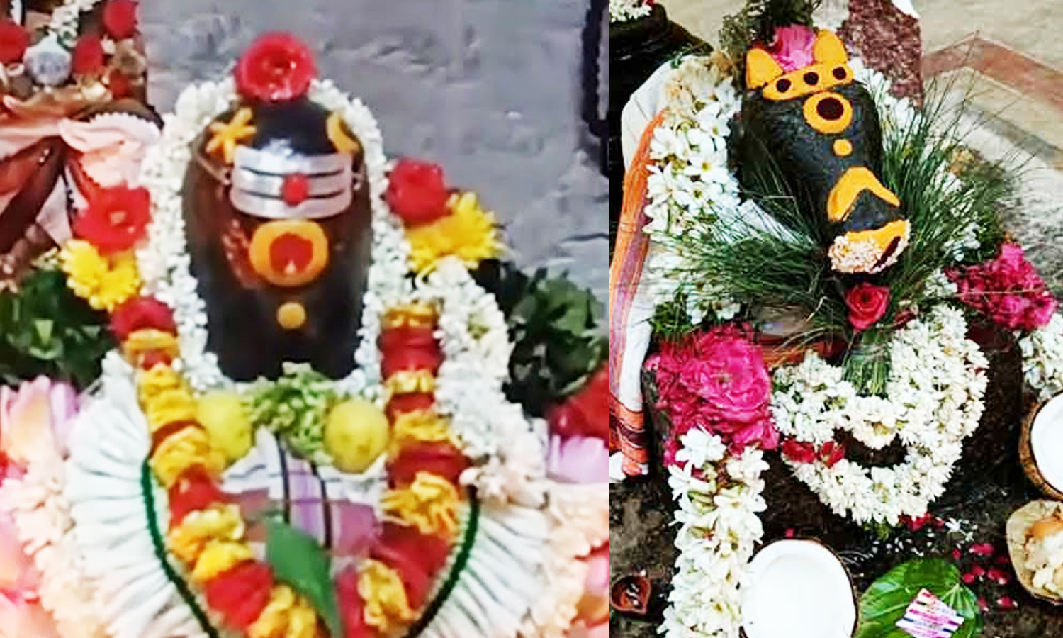 சித்தர் கோவிலில் பிரதோஷ விழா சித்தர் கோவிலில் பிரதோஷ விழா