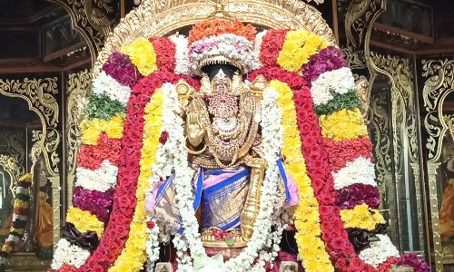 சரநாராயணபெருமாள் கோவிலில்  அமாவாசை சிறப்பு வழிபாடு