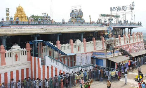 ஆடிக்கிருத்திகை திருவிழா: திருத்தணி முருகன் கோவிலில் முன் ஏற்பாடுகள் தீவிரம்