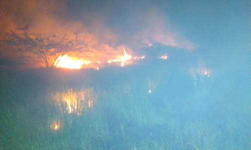 விருத்தாசலம் அருகே ஏரியில் பற்றி எரிந்த தீ-கிராமத்தினர் அதிர்ச்சி