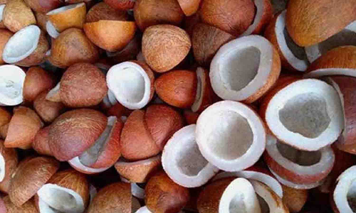 காங்கயம் ஒழுங்குமுறை விற்பனைக்கூடத்தில் ரூ.7.87 லட்சத்துக்கு கொப்பரை விற்பனை