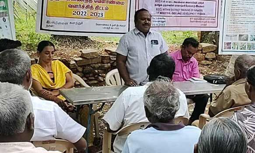 மேட்டுப்பாளையத்தில் மானாவாரி மேம்பாட்டு இயக்க  தொழில்நுட்ப பயிற்சி