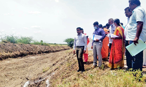 விளாத்திக்குளம் ஊராட்சி ஒன்றியத்திற்கு உட்பட்ட பகுதிகளில் வளர்ச்சி திட்டப்பணிகளை கலெக்டர் ஆய்வு