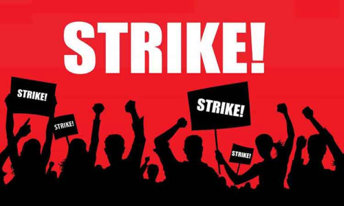 பொள்ளாச்சியில் 13-ந் தேதி தென்னை விவசாயிகள் ஆர்ப்பாட்டம்