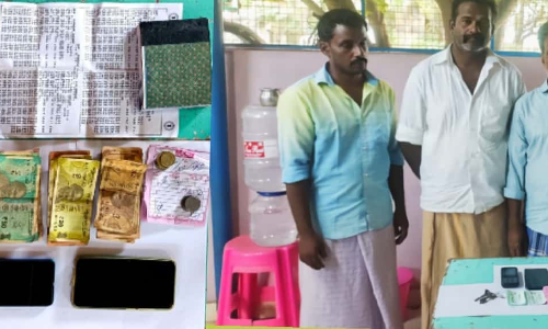 புகையிலை பொருட்கள் விற்றவர் கைது