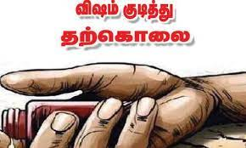 சிங்காரப்பேட்டை அருகே  அரளி விதையை அரைத்து  குடித்து மூதாட்டி சாவு