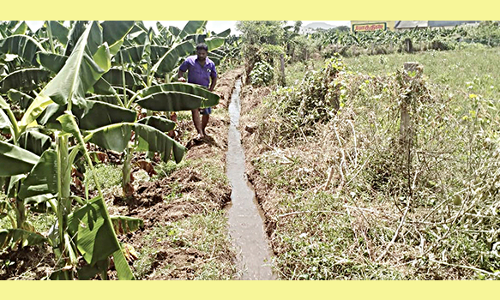 வாய்க்காலை சீரமைத்து பாசன வசதி