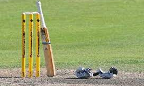 பெரம்பலூரில் நரிக்குறவ மாணவர்களை ஊக்கபடுத்த கிரிக்கெட் போட்டி