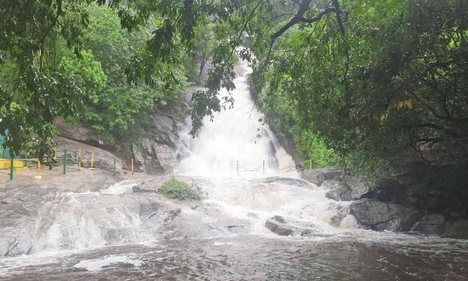 கோவை மாவட்டத்தில் பலத்த மழை- பொள்ளாச்சி குரங்கு நீர்வீழ்ச்சியில் கடும் வெள்ளப்பெருக்கு கோவை மாவட்டத்தில் பலத்த மழை- பொள்ளாச்சி குரங்கு நீர்வீழ்ச்சியில் கடும் வெள்ளப்பெருக்கு