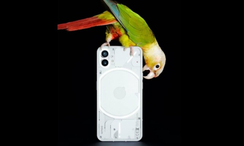 பிளிப்கார்ட்டில் நத்திங் போனின் முன்பதிவு தொடங்கியது