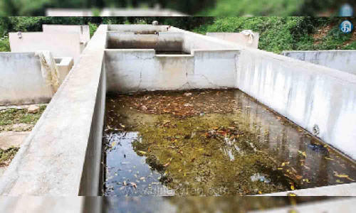 உடுமலையில் பராமரிப்பின்றி வீணாகும் சலவைத்துறை