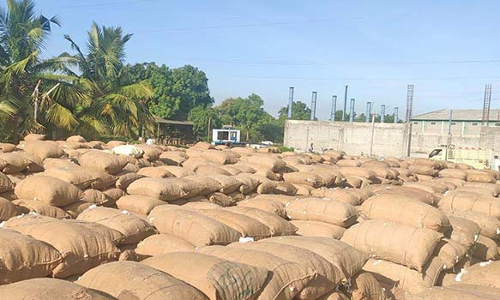 ராசிபுரத்தில்  3508 பருத்தி மூட்டைகள் ரூ.1.10 கோடிக்கு ஏலம்