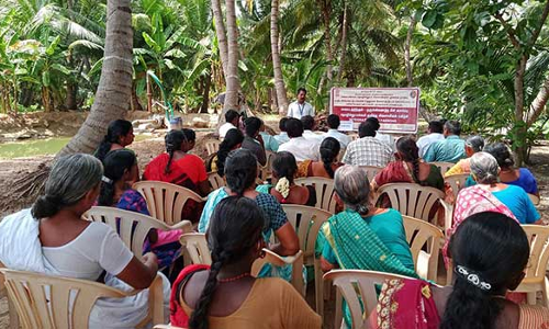 ஜேடர்பாளையத்தில் மீன் வளர்ப்பு குறித்த பயிற்சி