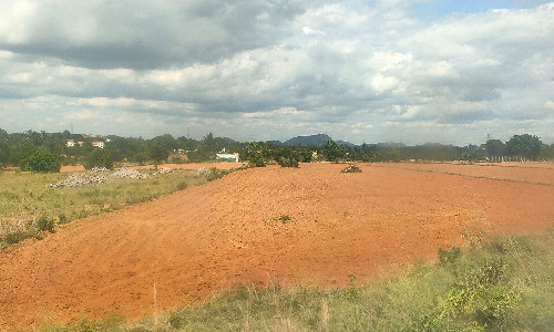 சூளகிரி அருகே   நிலக்கடலை விதைக்கப்பட்டு   நீரின்றி காய்ந்து கிடக்கும் விளைநிலங்கள்