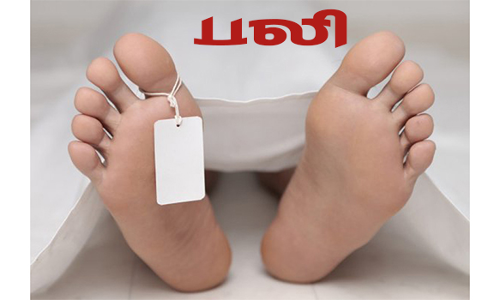 அரசு பஸ் மோதி வாலிபர் பலி