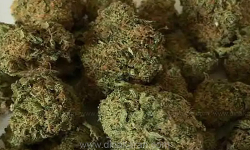 மோட்டார் சைக்கிளில் கஞ்சா கடத்திய வாலிபர் கைது