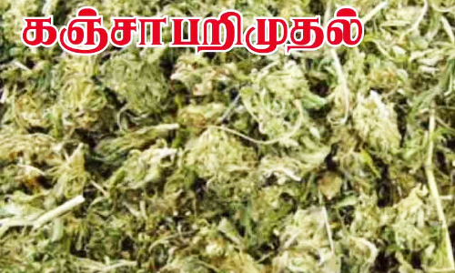 ரெயிலில் கஞ்சா கடத்தியவர் கைது