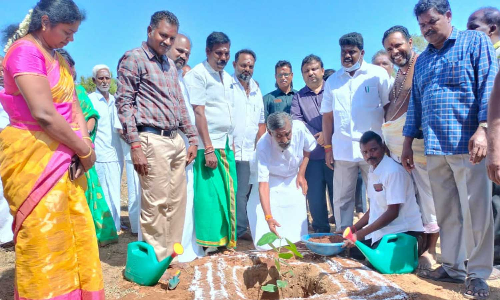 மரக்கன்று திட்டம் -  அமைச்சர் தேனீ.ஜெயக்குமார் துவக்கி வைத்தார்