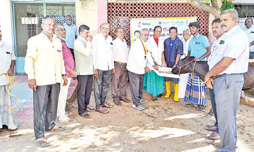முப்பெரும் விழா