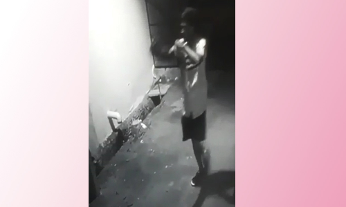 வேலூரில் வீட்டில் சுவர் ஏறி குதித்து திருட முயன்ற வாலிபர் தப்பி ஓட்டம்