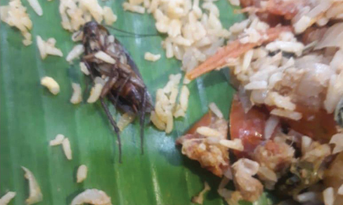 ஆரணியில் ஓட்டலில் சாப்பிட்ட பிரியாணியில் கரப்பான் பூச்சி