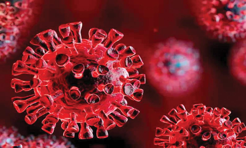 ராணிப்பேட்டையில் 32 பேருக்கு கொரோனா