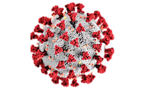 புதுச்சேரியில் மீண்டும் கொரோனா கட்டுப்பாடுகள்