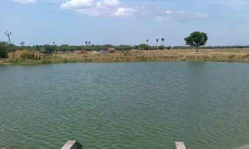 மதுரையில் 104 குளங்கள் புதிதாக அமைக்கப்படும்-கலெக்டர் தகவல்